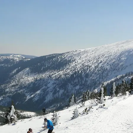 Апартаменты Apartman 315 *