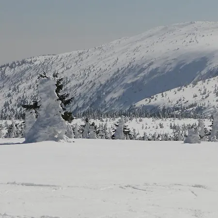 Апартаменты Apartman 315 Шпиндлерув-Млин