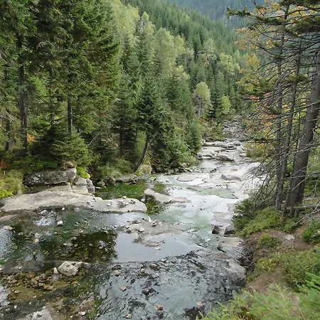 Apartman 315 Апартаменты *