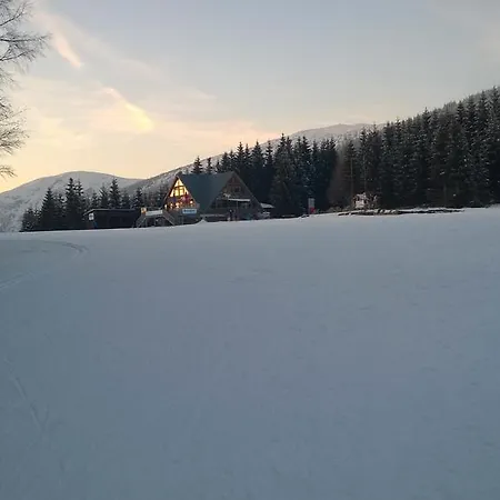 Апартаменты Apartman 315